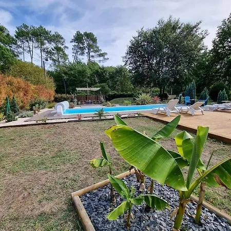 La Au Carbet Piscine Chauffée Au Calme Dans La Nature Villa *